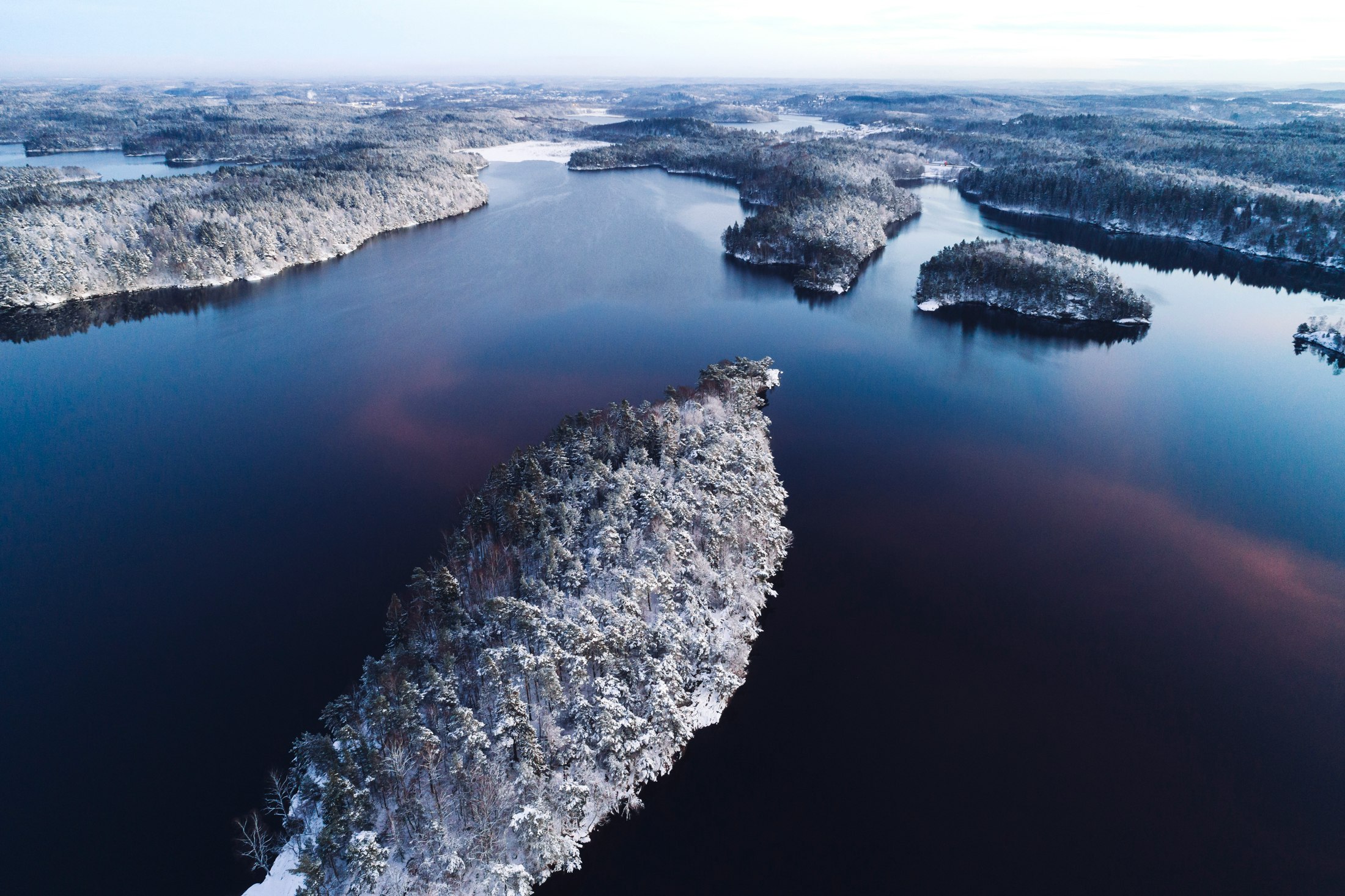 forest covered with snow viewing lake